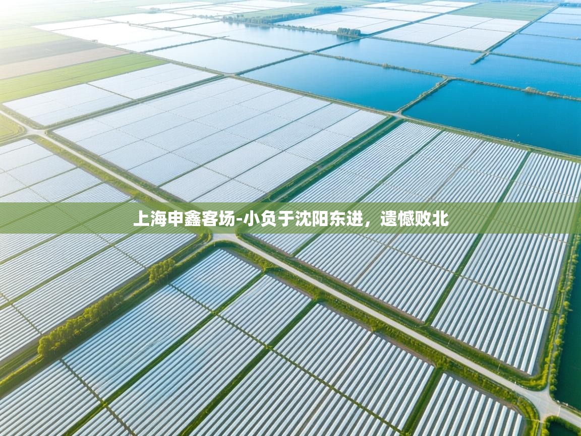 上海申鑫客场-小负于沈阳东进，遗憾败北  第1张