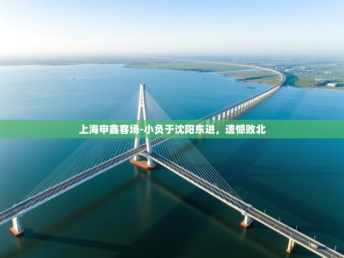 上海申鑫客场-小负于沈阳东进，遗憾败北  第2张